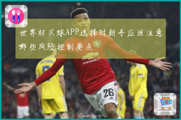 世界杯买球APP选择时新手应该注意哪些风险控制要点