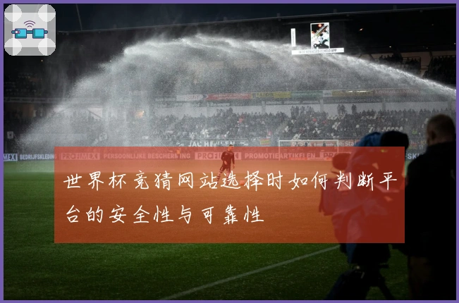 世界杯竞猜网站选择时如何判断平台的安全性与可靠性