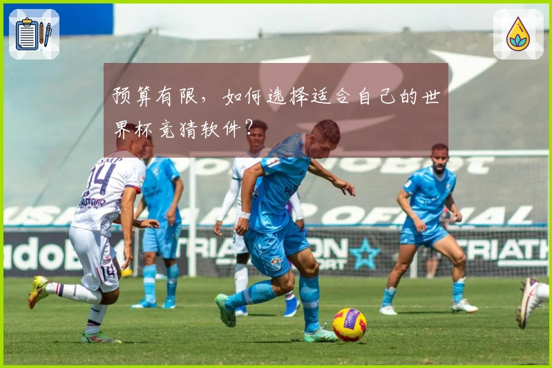 预算有限,如何选择适合自己的世界杯竞猜软件?