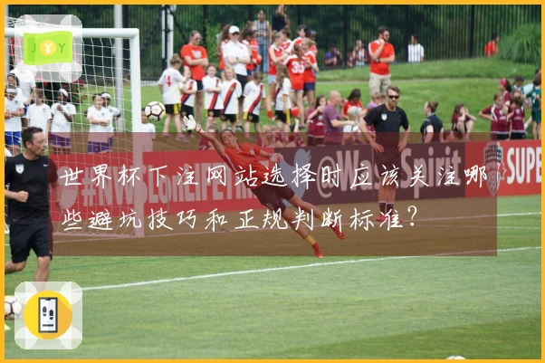 世界杯下注网站选择时应该关注哪些避坑技巧和正规判断标准？