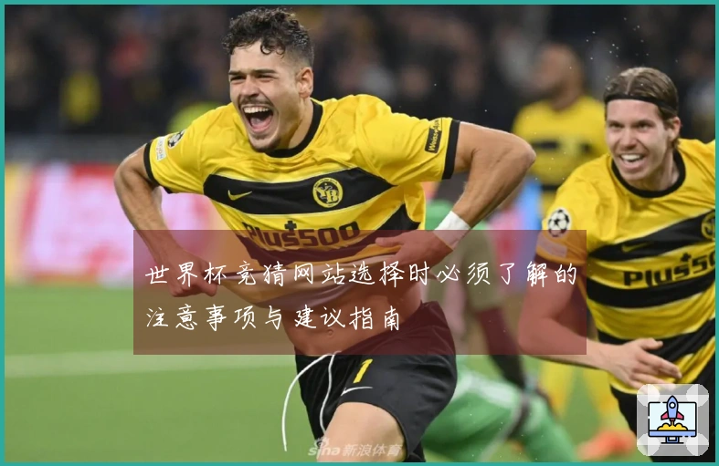 世界杯竞猜网站选择时必须了解的注意事项与建议指南
