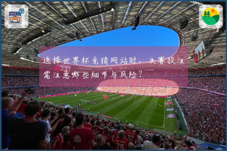 选择世界杯竞猜网站时，决赛投注需注意哪些细节与风险？