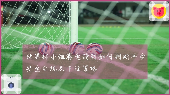 世界杯小组赛竞猜时如何判断平台安全合规及下注策略