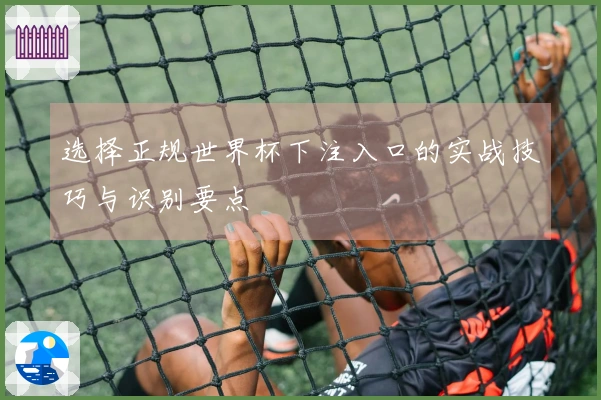 选择正规世界杯下注入口的实战技巧与识别要点