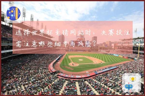 选择世界杯竞猜网站时，决赛投注需注意哪些细节与风险？