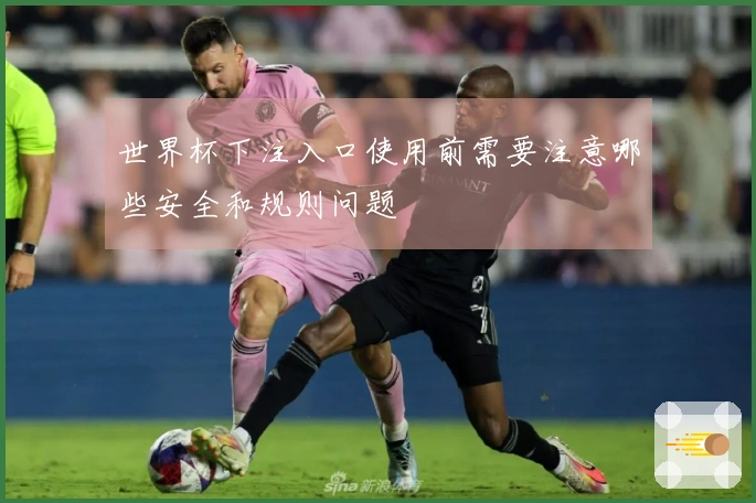 世界杯下注入口使用前需要注意哪些安全和规则问题