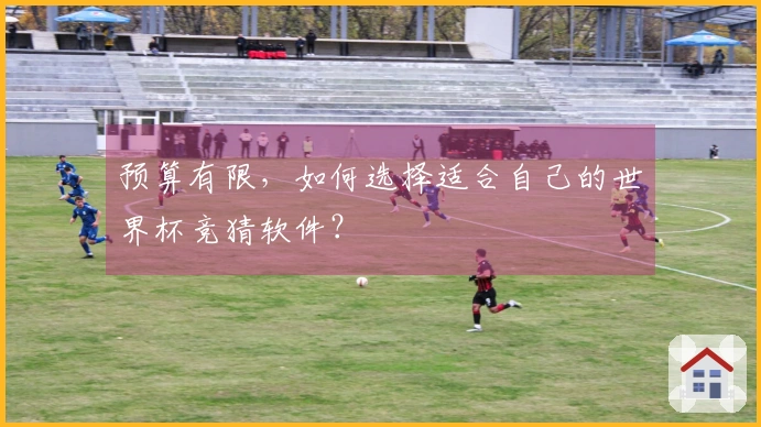 预算有限，如何选择适合自己的世界杯竞猜软件？
