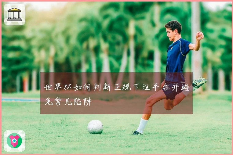 世界杯如何判断正规下注平台并避免常见陷阱