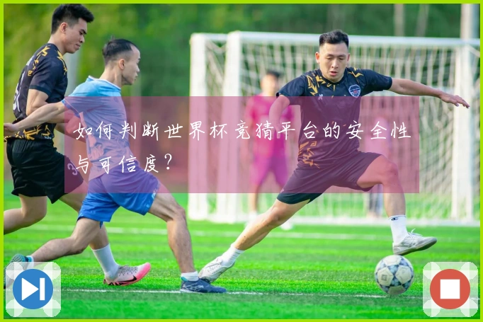 如何判断世界杯竞猜平台的安全性与可信度？