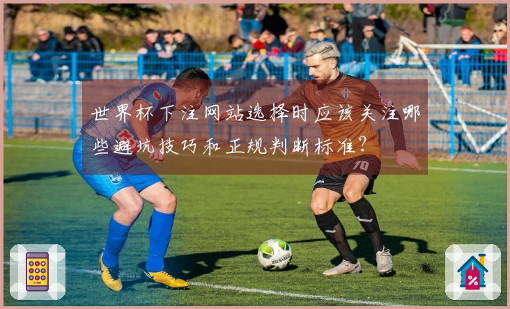 世界杯下注网站选择时应该关注哪些避坑技巧和正规判断标准？