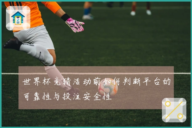 世界杯竞猜活动前如何判断平台的可靠性与投注安全性