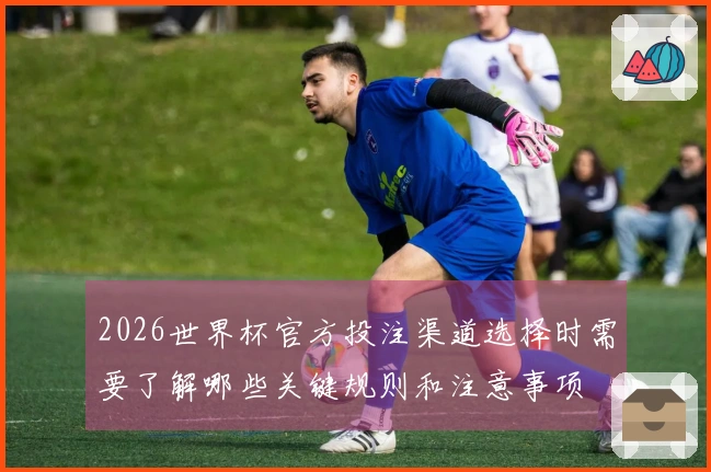 2026世界杯官方投注渠道选择时需要了解哪些关键规则和注意事项