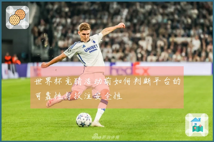 世界杯竞猜活动前如何判断平台的可靠性与投注安全性